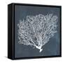 Inverse Sea Fan II-Grace Popp-Framed Stretched Canvas