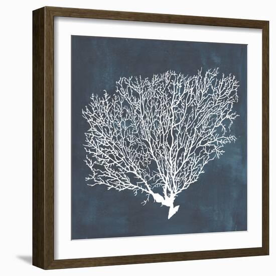 Inverse Sea Fan II-Grace Popp-Framed Art Print