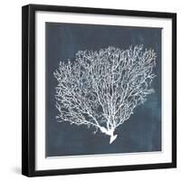 Inverse Sea Fan II-Grace Popp-Framed Art Print