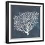 Inverse Sea Fan II-Grace Popp-Framed Art Print