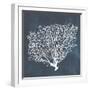 Inverse Sea Fan II-Grace Popp-Framed Art Print