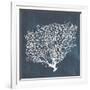 Inverse Sea Fan II-Grace Popp-Framed Art Print