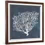 Inverse Sea Fan II-Grace Popp-Framed Art Print