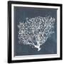 Inverse Sea Fan II-Grace Popp-Framed Art Print