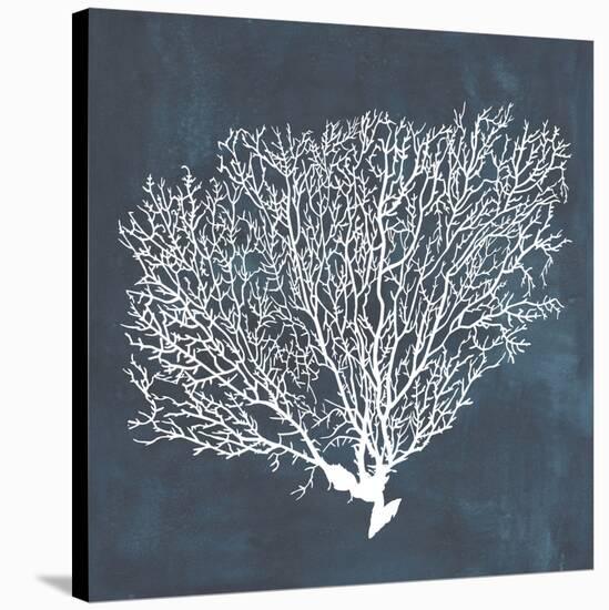 Inverse Sea Fan II-Grace Popp-Stretched Canvas