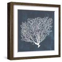 Inverse Sea Fan II-Grace Popp-Framed Art Print