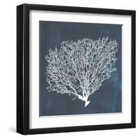 Inverse Sea Fan II-Grace Popp-Framed Art Print