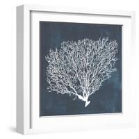 Inverse Sea Fan II-Grace Popp-Framed Art Print