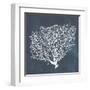 Inverse Sea Fan II-Grace Popp-Framed Art Print