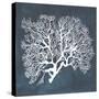 Inverse Sea Fan III-Grace Popp-Stretched Canvas