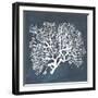 Inverse Sea Fan III-Grace Popp-Framed Art Print