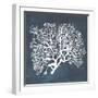 Inverse Sea Fan III-Grace Popp-Framed Art Print