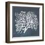 Inverse Sea Fan III-Grace Popp-Framed Art Print