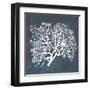 Inverse Sea Fan III-Grace Popp-Framed Art Print