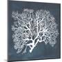 Inverse Sea Fan III-Grace Popp-Mounted Art Print