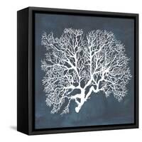 Inverse Sea Fan III-Grace Popp-Framed Stretched Canvas