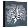 Inverse Sea Fan III-Grace Popp-Stretched Canvas