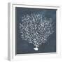 Inverse Sea Fan IV-Grace Popp-Framed Art Print