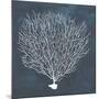 Inverse Sea Fan IV-Grace Popp-Mounted Giclee Print