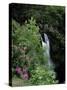 Inversnaid Waterfall, Loch Lomond, Stirling, Central Region, Scotland, United Kingdom-Roy Rainford-Stretched Canvas