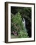 Inversnaid Waterfall, Loch Lomond, Stirling, Central Region, Scotland, United Kingdom-Roy Rainford-Framed Photographic Print