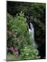 Inversnaid Waterfall, Loch Lomond, Stirling, Central Region, Scotland, United Kingdom-Roy Rainford-Mounted Photographic Print