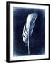 Inverted Feather II-Honey Malek-Framed Art Print