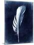 Inverted Feather II-Honey Malek-Mounted Art Print