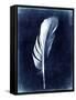 Inverted Feather II-Honey Malek-Framed Stretched Canvas