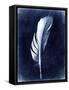 Inverted Feather II-Honey Malek-Framed Stretched Canvas