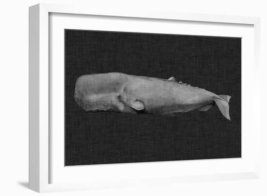 Inverted Whale I-Grace Popp-Framed Art Print