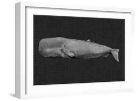 Inverted Whale I-Grace Popp-Framed Art Print