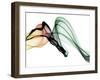 Invisible World I-Irena Orlov-Framed Photographic Print