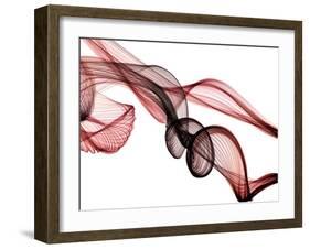 Invisible World II-Irena Orlov-Framed Photographic Print