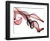 Invisible World II-Irena Orlov-Framed Photographic Print