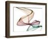 Invisible World III-Irena Orlov-Framed Photographic Print