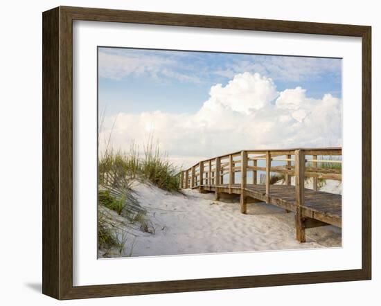 Inviting Boardwalk through the Sand Dunes on a Beautiful Beach in the Early Morning. Beautiful Puff-forestpath-Framed Photographic Print