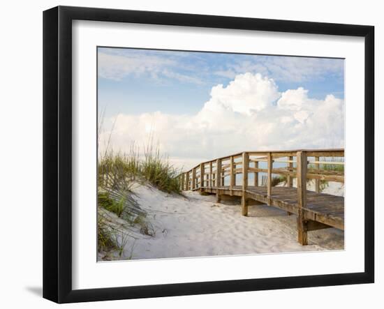 Inviting Boardwalk through the Sand Dunes on a Beautiful Beach in the Early Morning. Beautiful Puff-forestpath-Framed Photographic Print