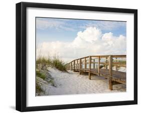 Inviting Boardwalk through the Sand Dunes on a Beautiful Beach in the Early Morning. Beautiful Puff-forestpath-Framed Photographic Print