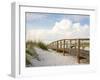 Inviting Boardwalk through the Sand Dunes on a Beautiful Beach in the Early Morning. Beautiful Puff-forestpath-Framed Photographic Print