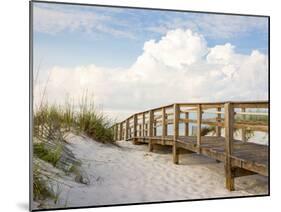 Inviting Boardwalk through the Sand Dunes on a Beautiful Beach in the Early Morning. Beautiful Puff-forestpath-Mounted Photographic Print