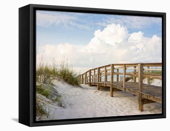 Inviting Boardwalk through the Sand Dunes on a Beautiful Beach in the Early Morning. Beautiful Puff-forestpath-Framed Stretched Canvas