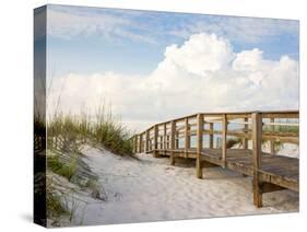 Inviting Boardwalk through the Sand Dunes on a Beautiful Beach in the Early Morning. Beautiful Puff-forestpath-Stretched Canvas