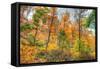 Inwood Park Horizontal-Robert Goldwitz-Framed Stretched Canvas