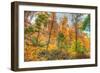 Inwood Park Horizontal-Robert Goldwitz-Framed Photographic Print