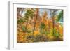 Inwood Park Horizontal-Robert Goldwitz-Framed Photographic Print