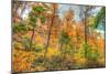 Inwood Park Horizontal-Robert Goldwitz-Mounted Photographic Print