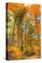 Inwood Park Vertical-Robert Goldwitz-Stretched Canvas