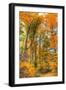 Inwood Park Vertical-Robert Goldwitz-Framed Photographic Print