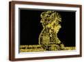 Brown Frame